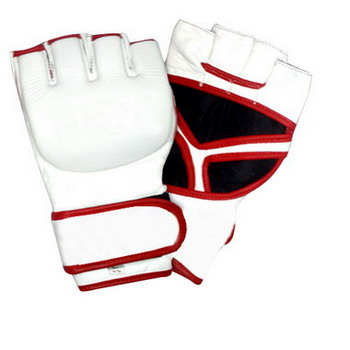 Assorted MMA Glove